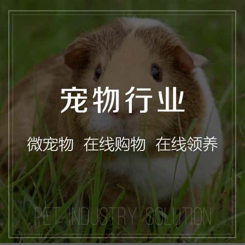 北海宠物